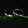 Tagra | Pro LED Strip Light | 112 LEDs p/m | 24V | IP67 | 19.8W/m | RGB+1800-6500K | 5M Reel - PS24-RGBCCT-67-StripLight-GREEN.jpg