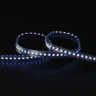 Tagra | Pro LED Strip Light | 112 LEDs p/m | 24V | IP67 | 19.8W/m | RGB+1800-6500K | 5M Reel - PS24-RGBCCT-67-StripLight-BLUE.jpg