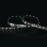 Tagra | Pro LED Strip Light | 60 LEDs p/m | 24V | IP67 | 18 | RGB+W | 5 & 50M Reels - PS24-RGBW60-IP-StripLight-6K.jpg
