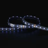 Tagra | Pro LED Strip Light | 60 LEDs p/m | 24V | IP67 | 18 | RGB+W | 5 & 50M Reels - PS24-RGBW60-IP-StripLight-BLUE.jpg