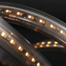 Tagra | Pro LED Strip Light | Dim to Warm | 252 LEDs p/m | 24V | IP67 | 16.5W/m| 1800-3000K | 5M Reel - PS24-DTW-67-StripLight-ON.jpg
