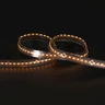 Tagra | Pro LED Strip Light | Dim to Warm | 252 LEDs p/m | 24V | IP67 | 16.5W/m| 1800-3000K | 5M Reel - PS24-DTW-67-StripLight-24K.jpg