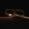 Tagra | Pro LED Strip Light | Dim to Warm | 252 LEDs p/m | 24V | IP67 | 16.5W/m| 1800-3000K | 5M Reel - PS24-DTW-67-StripLight-18K.jpg