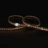 Tagra | Pro LED Strip Light | Dim to Warm | 252 LEDs p/m | 24V | IP67 | 16.5W/m| 1800-3000K | 5M Reel - PS24-DTW-67-StripLight-3K.jpg