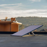 Starlink Standard Kit – Demanding Everyday Connectivity
