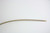 Ø3.2mm Clear Biopsy Channel for Pentax