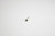 Video Pin Connector Set - Male - Olympus