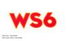 1981 Pontiac Trans Am WS6 decal
1980 Pontiac Trans Am WS6 decal
1979 Pontiac Trans Am WS6 decal
1978 Pontiac Trans Am WS6 decal