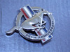 Original 1999 Ford Mustang 35th Anniversary Fender Emblem-Badge-RH
