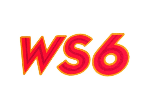 1981 Pontiac Trans Am WS6 decal
1980 Pontiac Trans Am WS6 decal
1979 Pontiac Trans Am WS6 decal
1978 Pontiac Trans Am WS6 decal