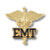 Prestige Medical 1090 - Emblem Pin - EMT Caduceus Prestige Medical 1090 - Emblem Pin - EMT Caduceus