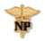 Prestige Medical 2021 - Emblem Pin - Nurse Practitioner Prestige Medical 2021 - Emblem Pin - Nurse Practitioner