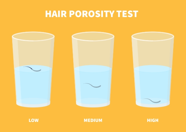 High Or Low How To Do A Hair Porosity Test Haircode