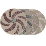 Cheetah Pads 20 inch one pad each Step 1 thru 4