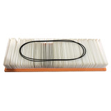 Nilfisk NF1463161000 filter polyester kit for Clarke Viper