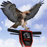 Hawk HPH0011 .312 18x1 .875 inch hex head flanged bolt pac