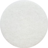 Hawk AS0118CS white pad 8 inch for Talon