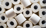 How To Choose the Right Bulk Toilet Paper for Your Facility