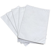Nilfisk NF56646888 exhaust filter pkg of 5 for Clarke Viper and Advance machines 