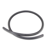 Nilfisk NF56508262 weatherstrip window for Clarke Viper