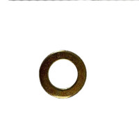 Nilfisk NF56009022 wsh flt 0.752 .756x1.250x.125 for Clarke