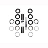 Sandia 100869ra 200 psi rebuild kit a plunger