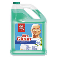 Mr Clean PGC23124CT multipurpose cleaning solution with
