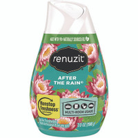 Renuzit AMY43100CT adjustables air freshener after the rain