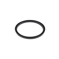 ProTeam 840899 motor gasket