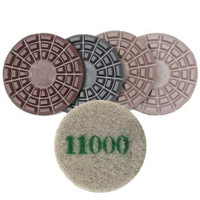 Cheetah Pads 8 inch one pad each Step 1 thru 4 plus 11,000 grit Monkey