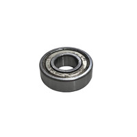 Nilfisk NFZD40225 bearing 6203z for Clarke Viper and Advance machines