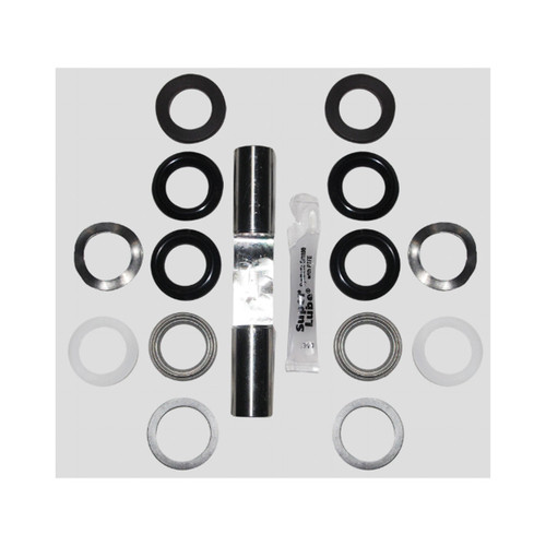 Sandia 100869ra 200 psi rebuild kit a plunger