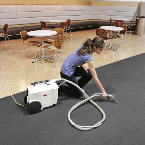 Viper 50000591 Wolf 130 Carpet Spotter Extractor 1 Gallon