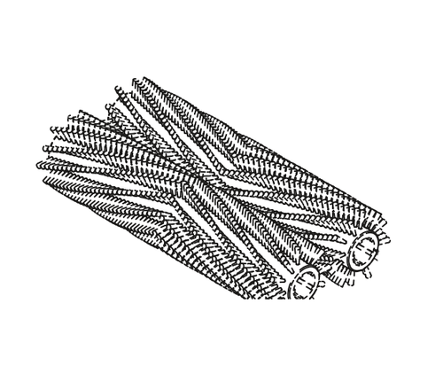 Betco E2251200 Brush Cylindrical