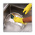 Sponge with scour pad nylon pad 4x6 yellow