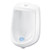 Urinal screen non para block with enzymatic Big D evergreen cleans deodorizes for 30 days or 1000 flushes case of 12 urinal screens bgd660