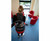 Nacecare RSV150 Backpack Vacuum