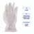BWK365LBX Boardwalk General Purpose Vinyl Gloves Powder Latex Free 2.6 mil Large Clear 100 per Bx