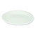 Laminated foam plates 10 inch white case