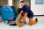3M 09544 ScotchBrite Clean and Shine floor pads 17 inch