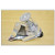 Mercury FCA-1 Front Caster Assembly Complete