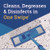 Pinesol CLO60606CT Multi-Surface Cleaner