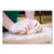SemperGuard SEZINDPS103 Latex Gloves Powdered Medium