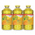 CloroxPro CLO60607CT Multi-Surface Cleaner Concentrated Lemon case