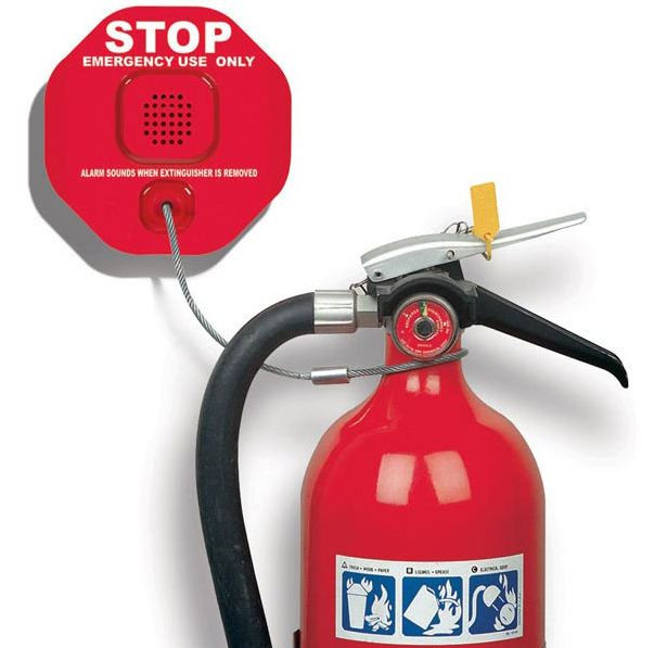 【lcrasher様用】STRIGOI / Abandon All Fa c_h181z_prodpho_pho_prod_hurri