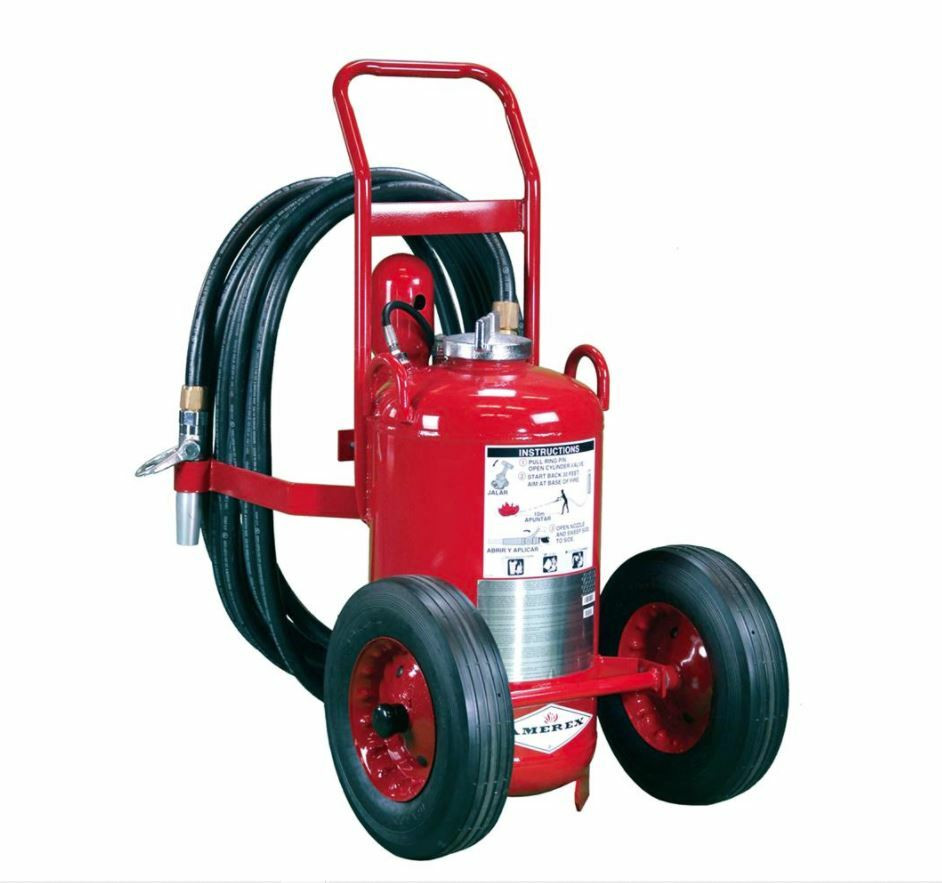 超希少日本製NIRVANA Fire Extinguisher Laura002 450__95113.1649508417.1280.