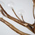 A close-up of the realistic Scandinavian tree branch chandelier reveals its intricate details and glass bubble shades. The branches, meticulously crafted, showcase a lifelike texture and natural wood finish. The glass bubble shades add a touch of modernity and sophistication, diffusing the light and creating a warm, inviting glow. This combination of organic elements and contemporary design elements creates a visually stunning and harmonious centerpiece, infusing any space with Scandinavian charm and elegance.