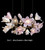 ceramic flower chandelier - tulip hanging light fixtures
