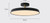 gold and black Adjustable Ceiling Light Fixture