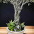 Nila: Artificial Olive Tree Indoor - Realistic Olive Tree - Giant Artificial Trees